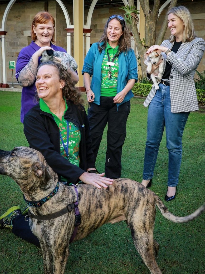 Bob the dog with RSPCA carers, DVConnect CEO Beck O'Connor and Attorney-General Shannon Fentiman