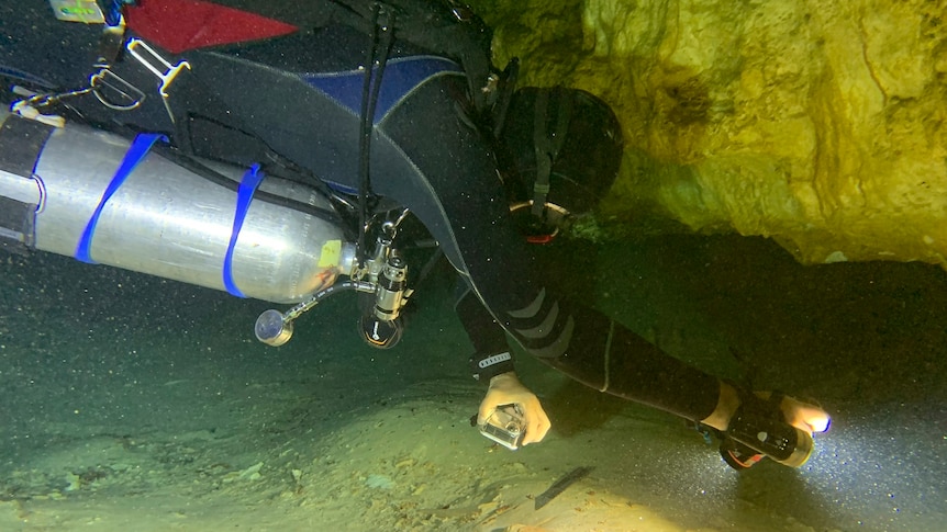 A SCUBA diver uses a torch to illuminate a thin passage between rock and sediment that leads into an underwater cave.