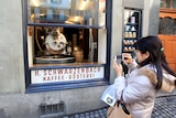 A tourist takes a picture through the open window of H. Schwarzenbach coffee roastery in Zurich.