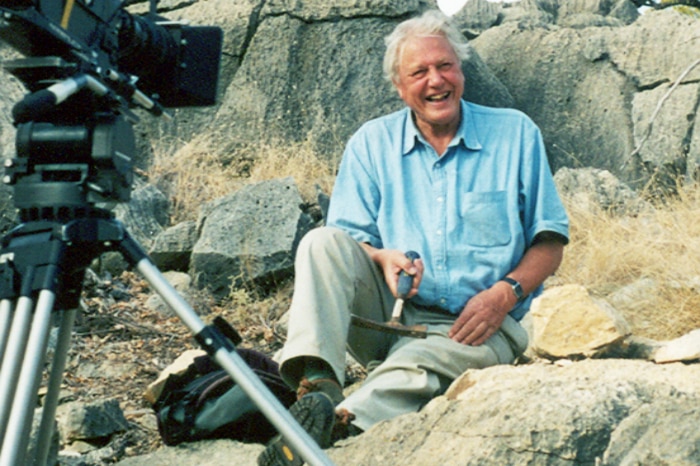 Sir David Attenborough sits on a rock at the Riversleigh fossil site.