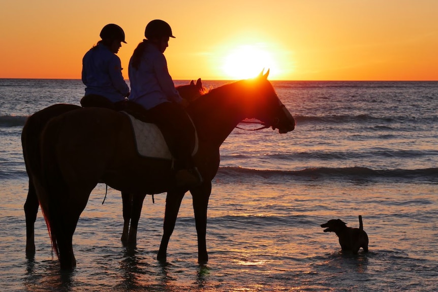 Riders on horses on the beach at dusk.