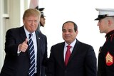 Donald Trump welcomes Egypt's President Abdel Fattah al-Sisi at the White House.