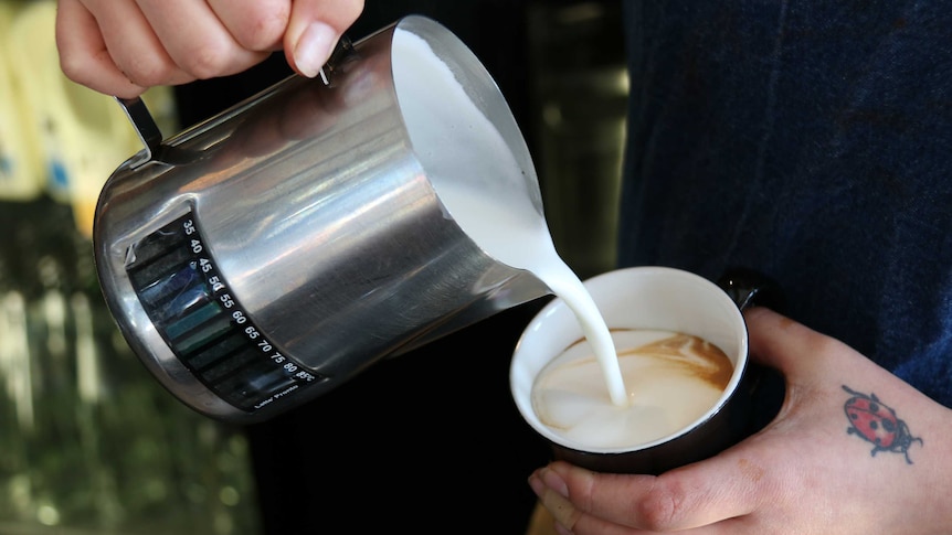 Cafe worker pours milk from a jug into a cup.