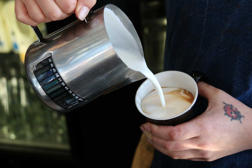 Cafe worker pours milk from a jug into a cup.