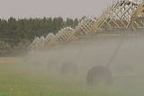 Irrigation pumps water a field.