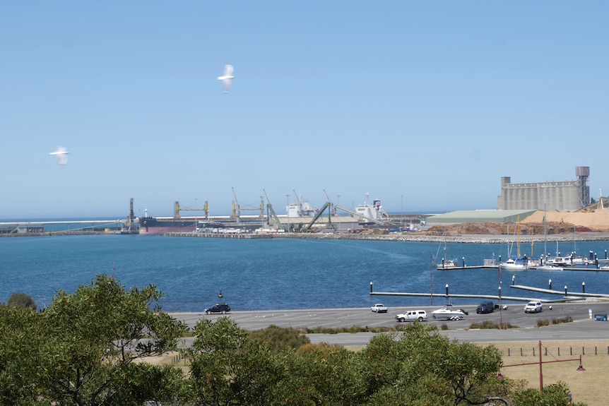 puerto industrial en el mar desde detrás de los arbustos de la ciudad