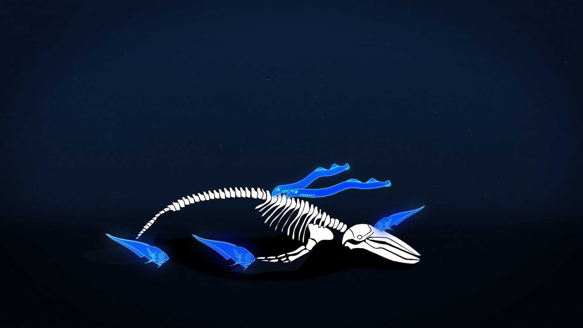 Illustration of whale carcass being eaten by deep sea fish.