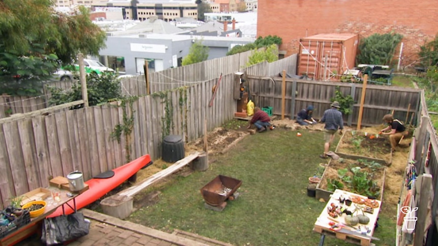 High view of suburban backyard