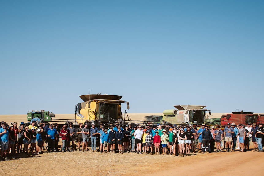 Dozens of people lined up in front of harvesters in a paddock