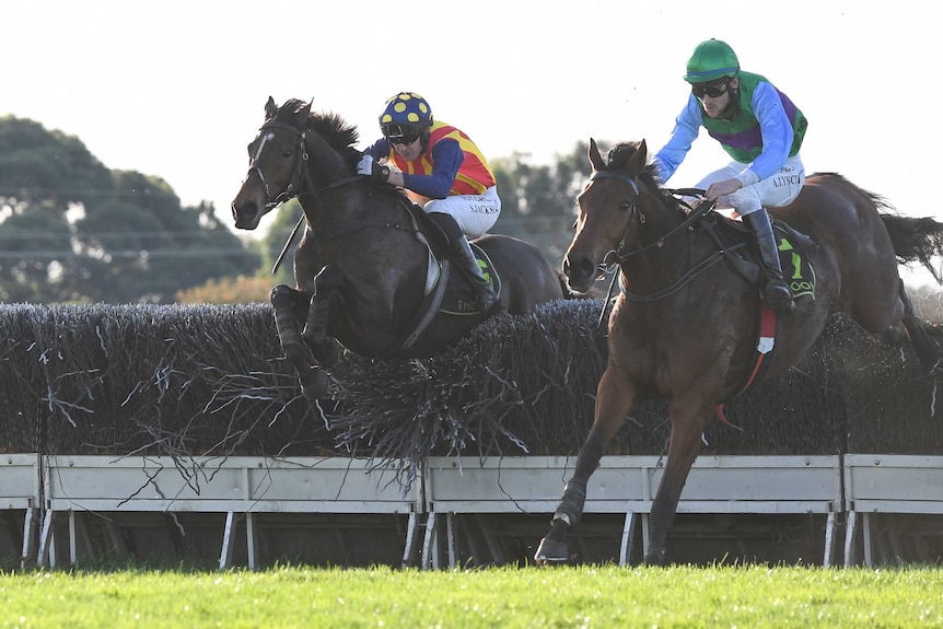 two racehorses jump a steeplechase in Warrnambool