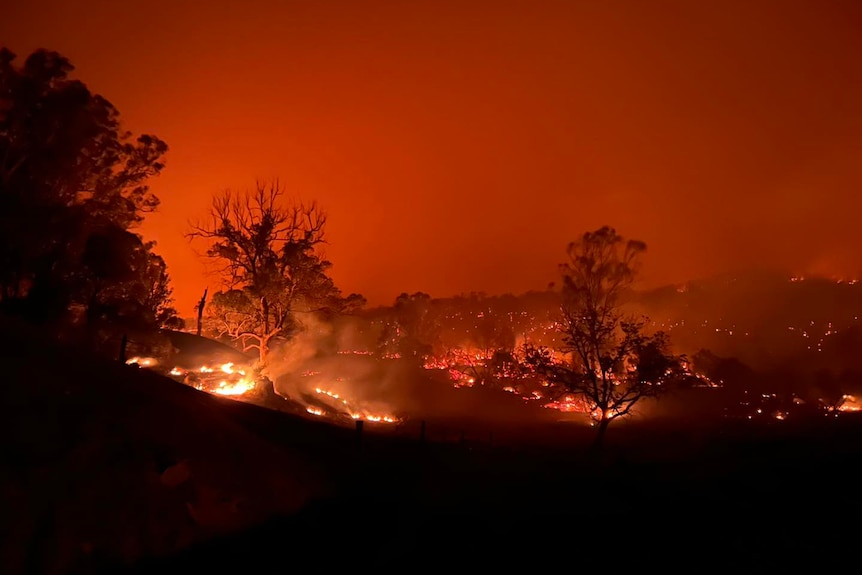 A bushfire raging in NSW