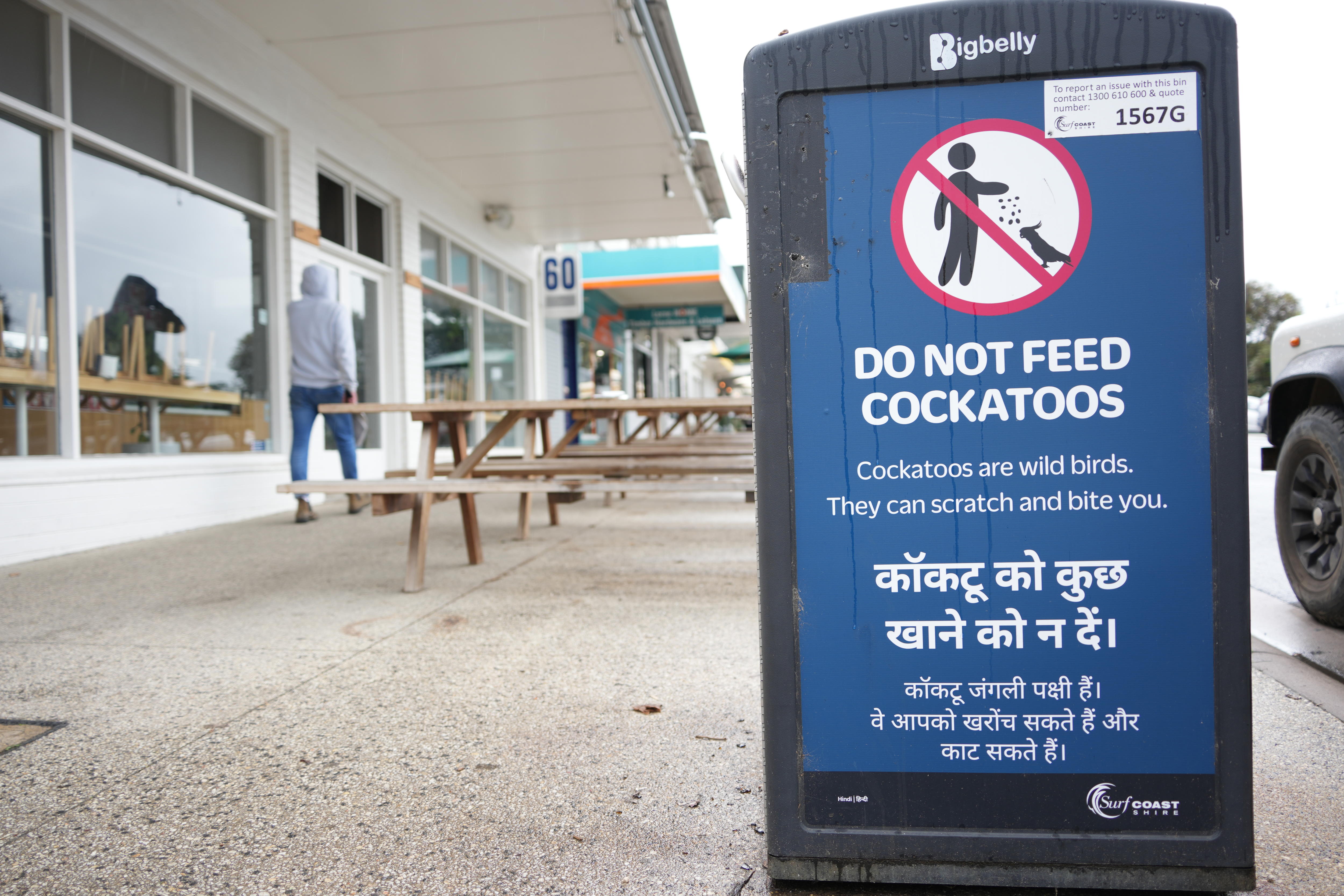 A man walks past wooden benches and a blue sign on a black bin says "Do not feed cockatoos" in several languages.