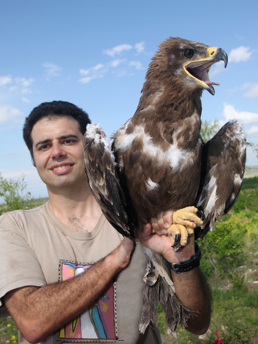 A man holds a large eagle by the feet.
