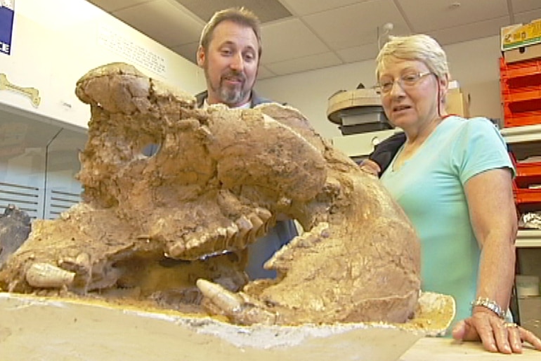 New palaeontology research hub at Flinders University