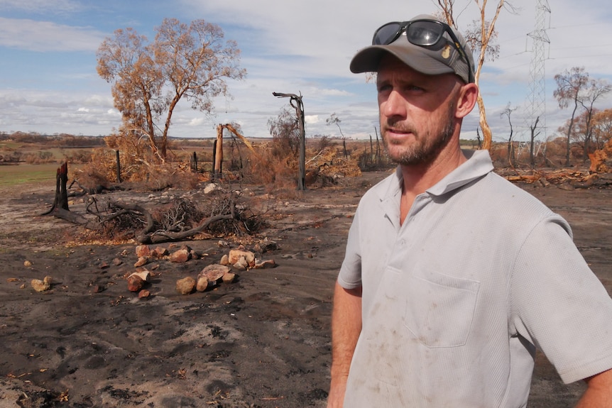 a man stands in a field of burned trees
