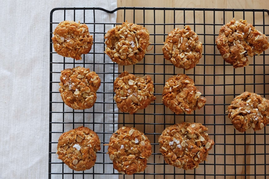 Overhead shot of 11 Anzac biscuits cooling on a wire rack.