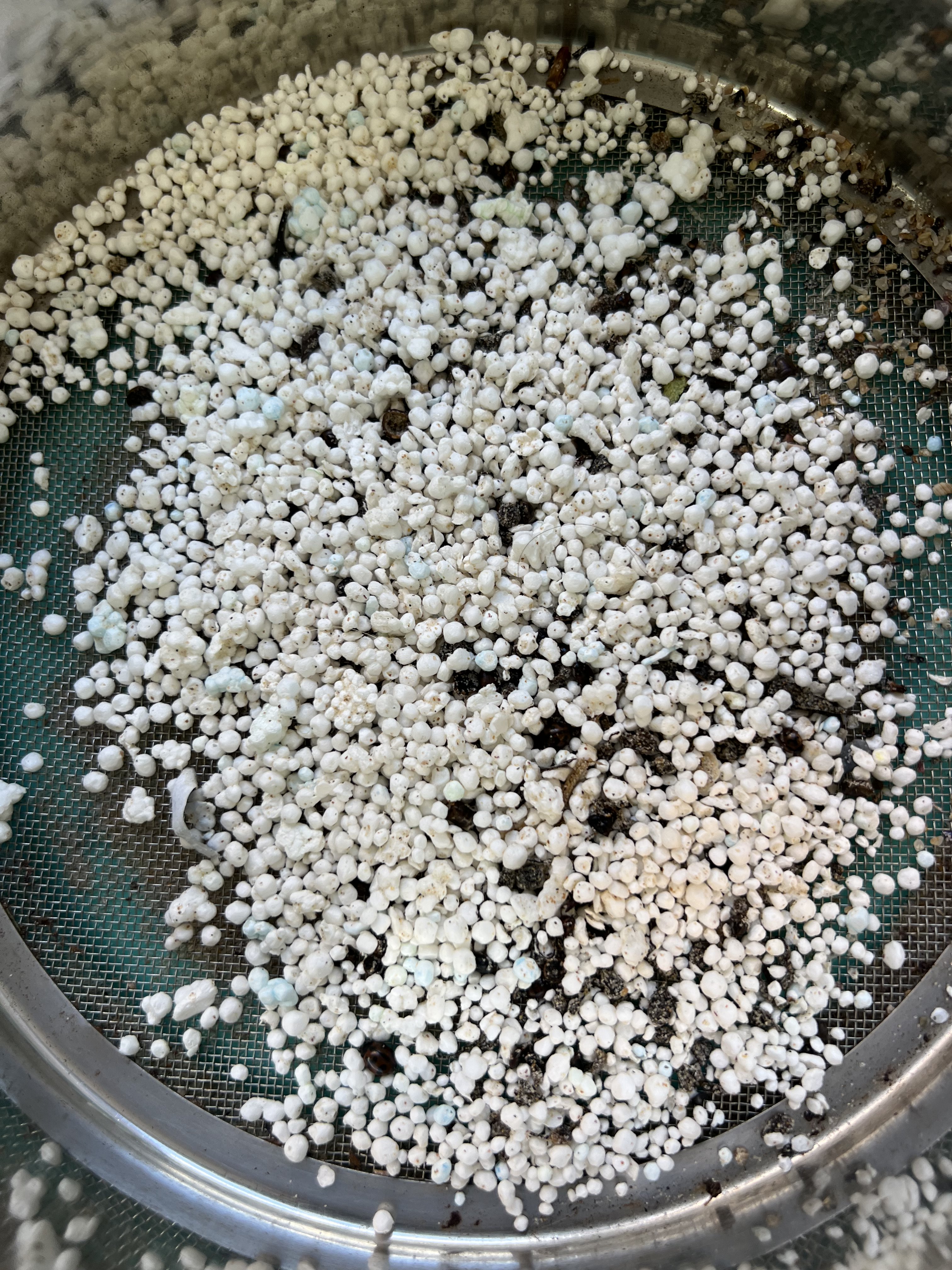 Sydney's worst hotspots for microplastic pollution revealed