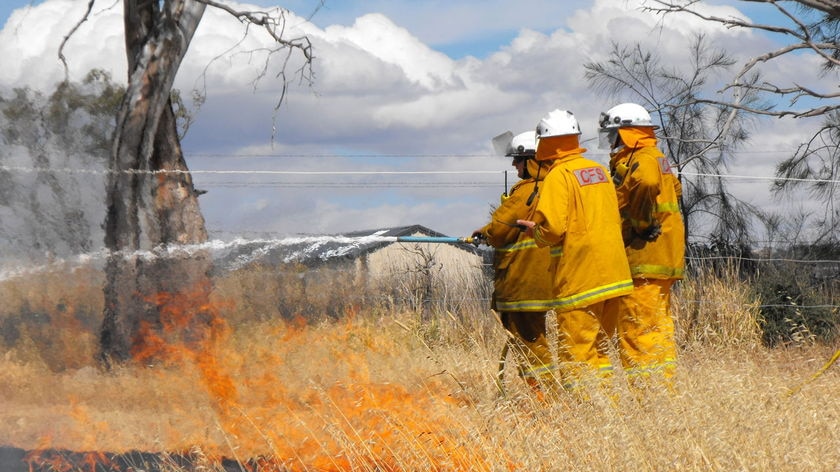 The accused allegedly reported grass fires and then tried to help firefighters.