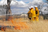 CFS crew tackles grass fire