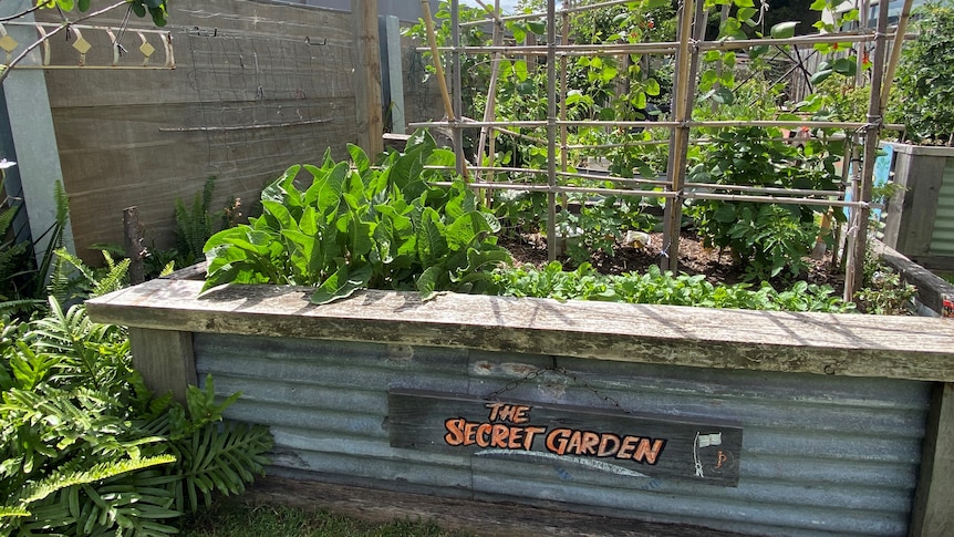 Community garden in Collingwood, Victoria