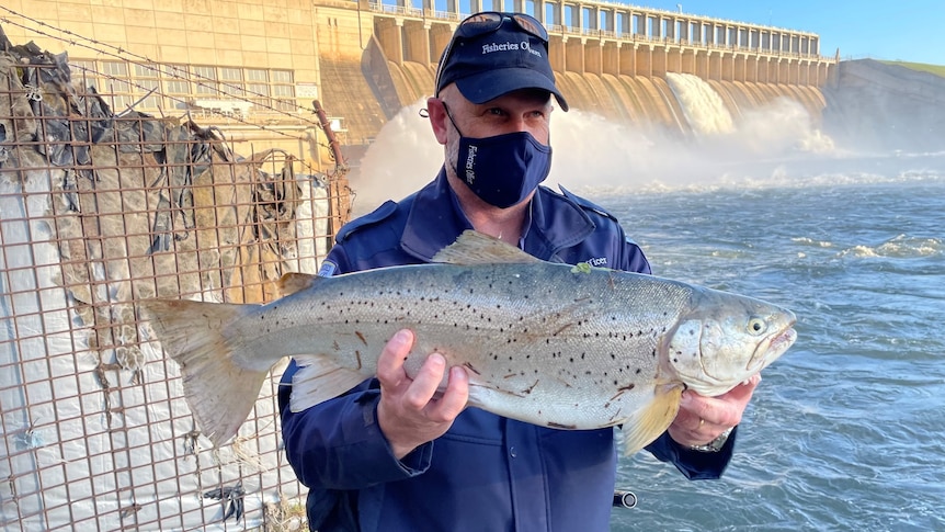 A man holds a large fish in front of a full river with water streaming down a dam wall behind him