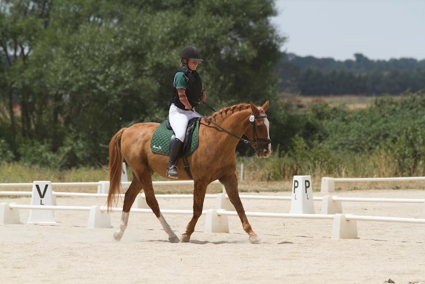 Abby Vidler pictured riding a brown horse with green trees in the background.