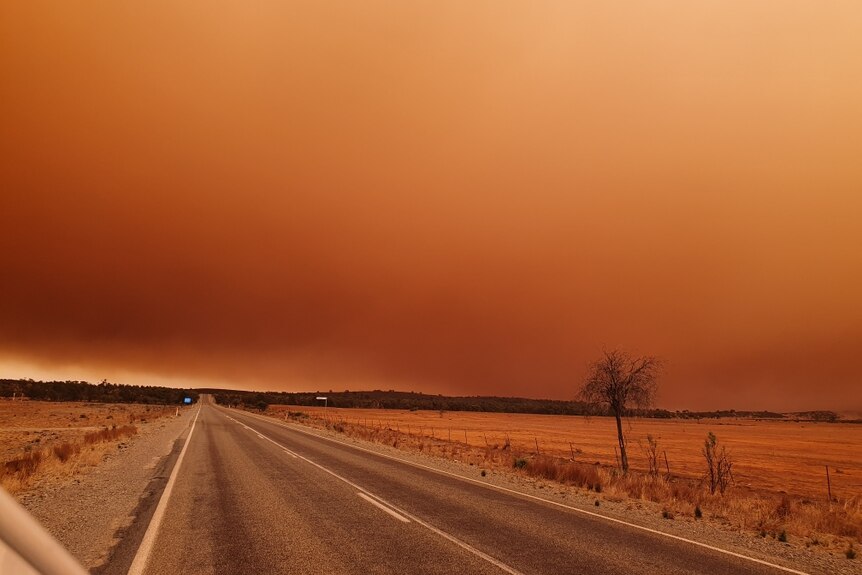 Dust in the air above a road which has made the sky turn red-orange colour