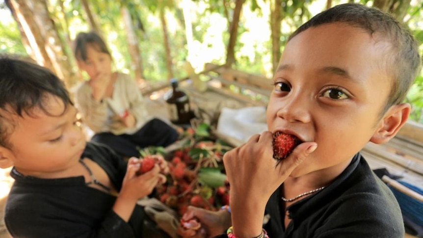 Two kids eating fruits know as rambutan in bahasa Indonesia