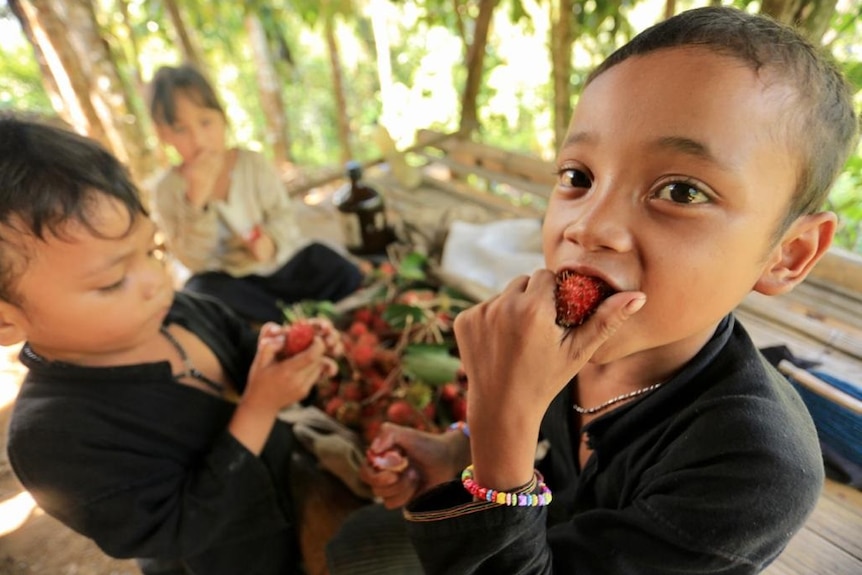 Two kids eating fruits know as rambutan in bahasa Indonesia