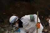 Japanese rescue team workers look for bodies