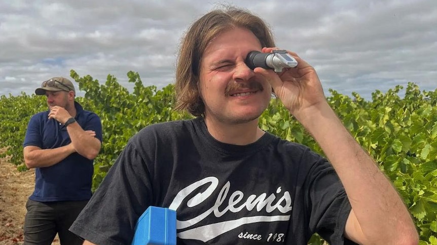 A man holding a tool that looks like binoculars. He is squinting. Behind is a vineyard with green leaves.