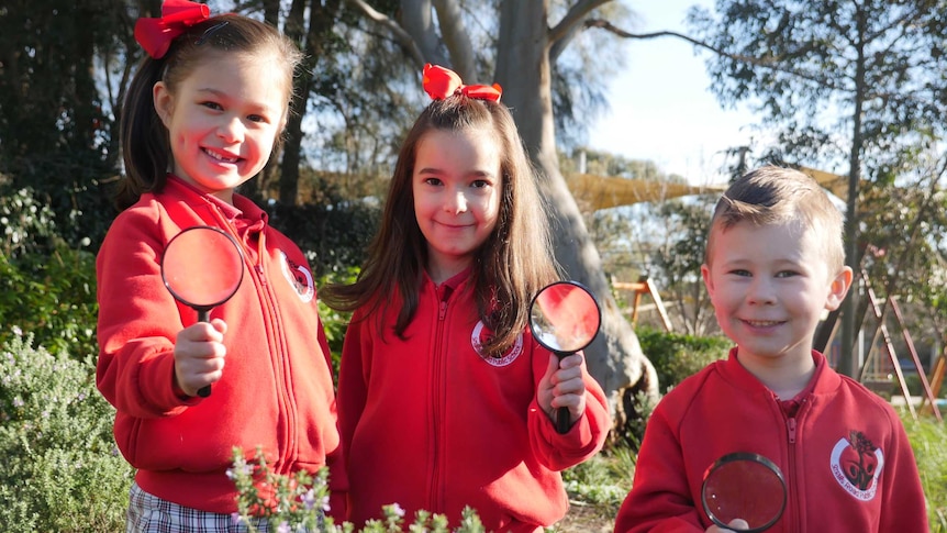 A group of primary school children hold magnifying glasses in a park.