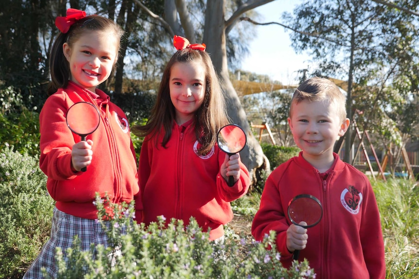 A group of primary school children hold magnifying glasses in a park.