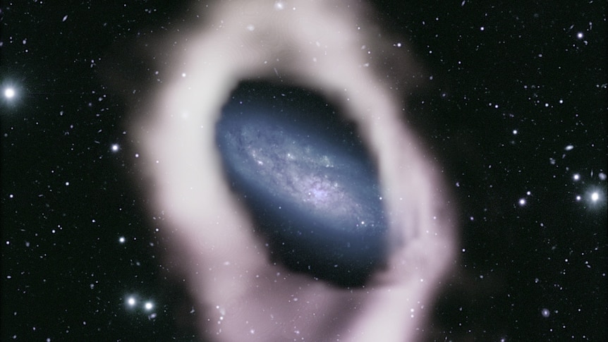 A snowy white ring surrounds a blue disk galaxy. 