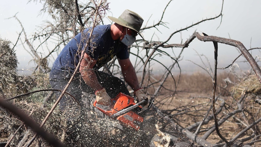 A man chainsaws burnt trees with a screen of smoke behind him