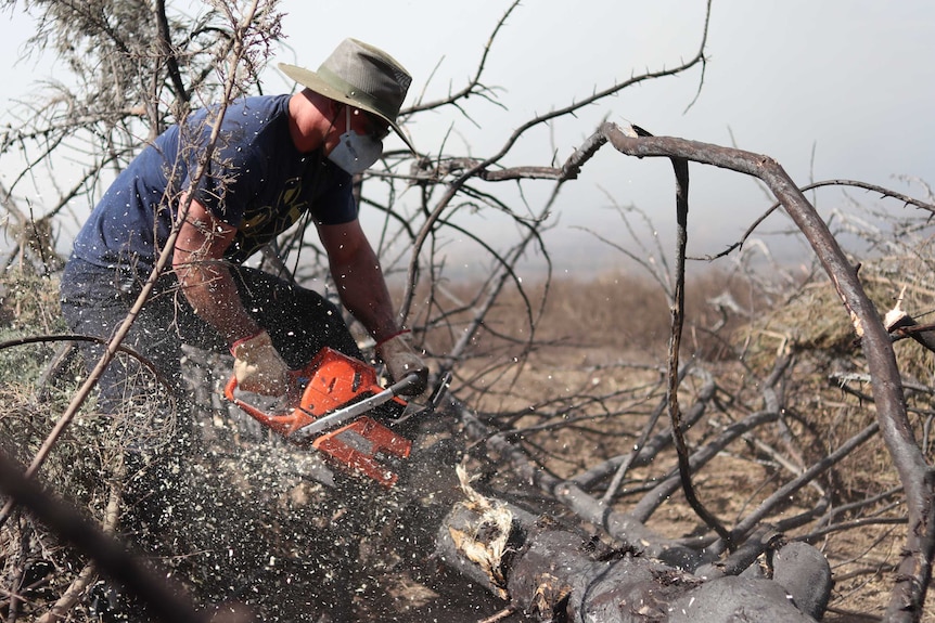 A man chainsaws burnt trees with a screen of smoke behind him