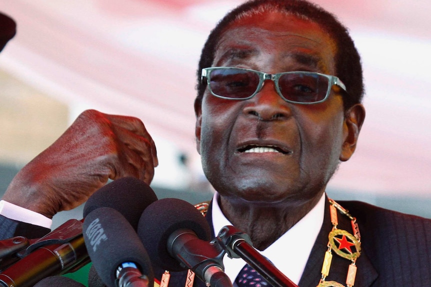 Robert Mugabe raises his fist as he speaks into microphones.