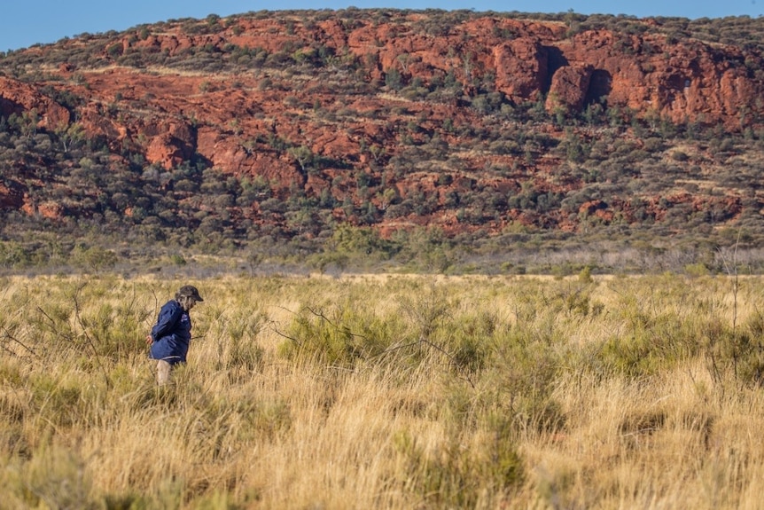 A woman walks through a grassland against the backdrop of a dramatic rocky, red-earth hillside.