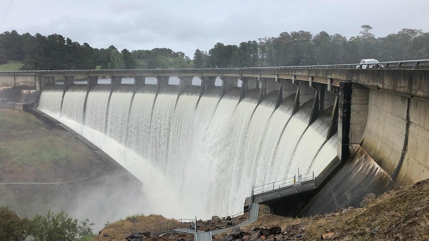 'Quite extraordinary': Massive volumes of water released from NSW dams into rivers