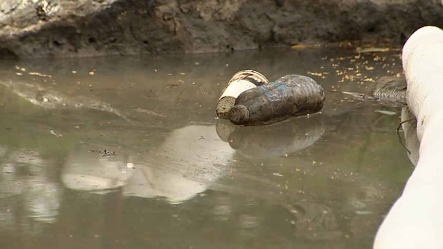 A cup and plastic bottle floating in murky water in the Stony Creek.