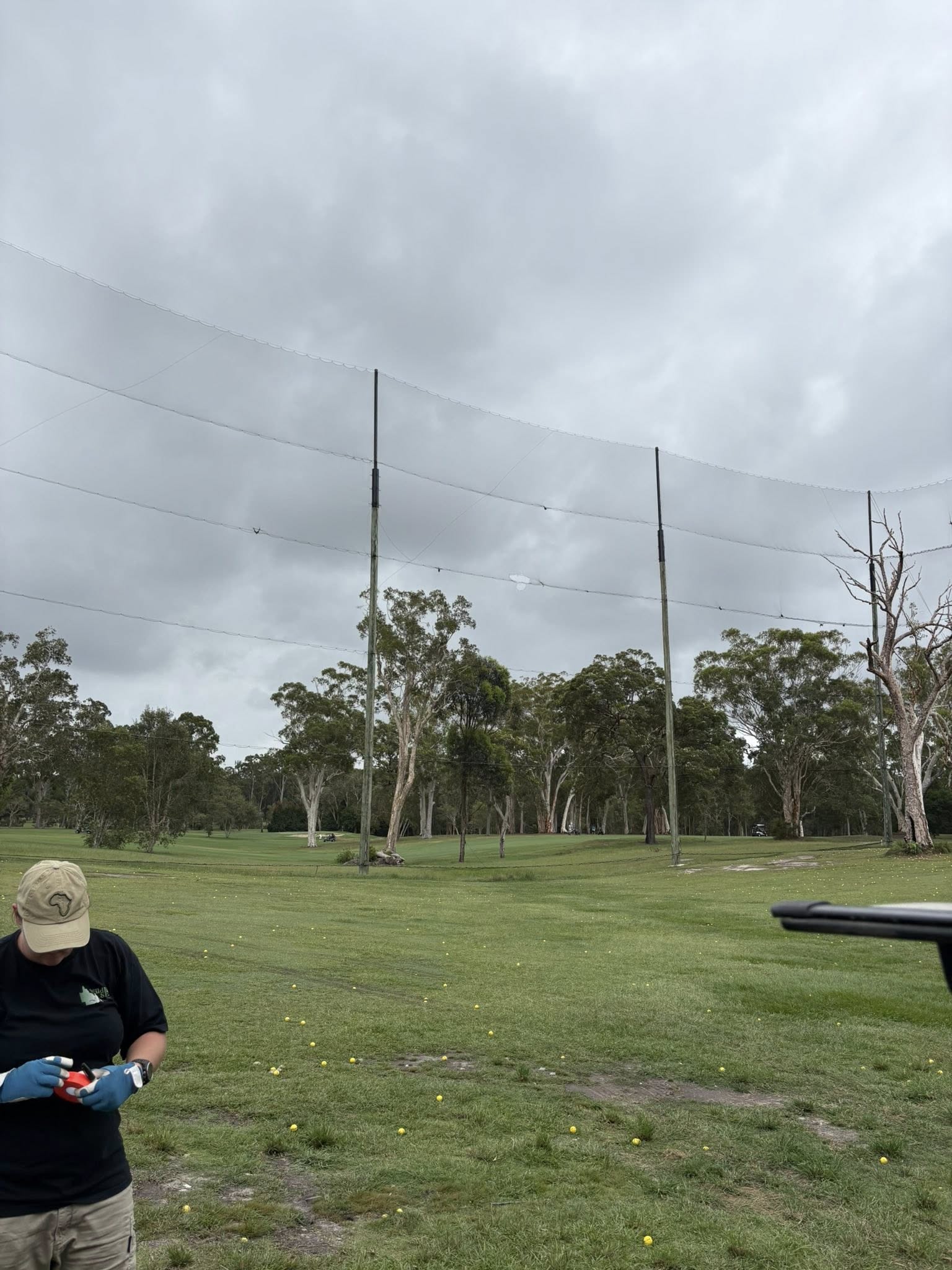 Driving range do Noosa Golf Club que fica mais alto que a linha das árvores 