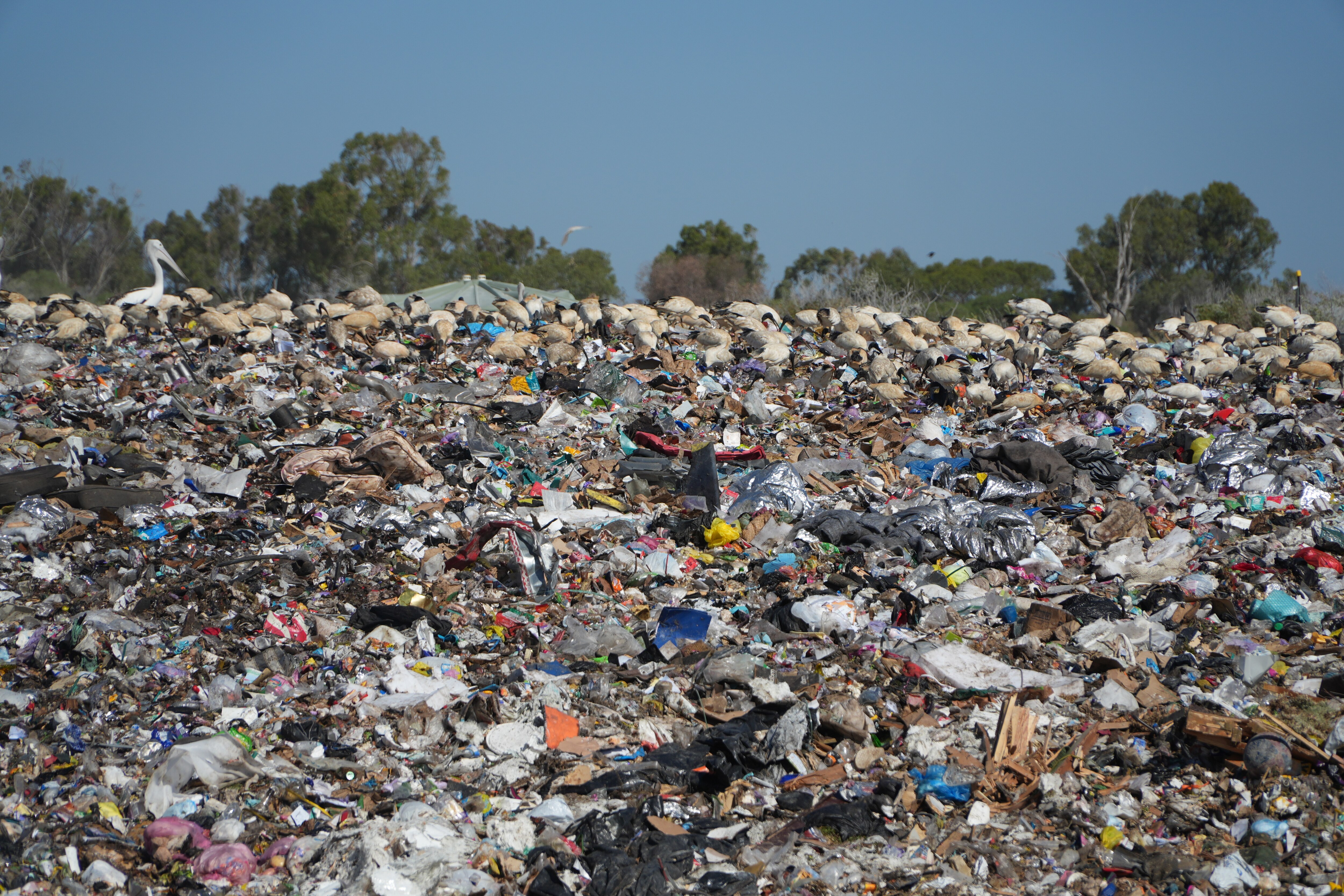 Waste Crisis looms for Sydney ABC listen