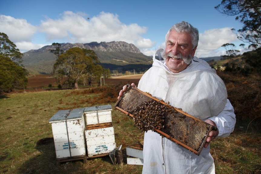 Beekeeper Lindsay Bourke with bees.