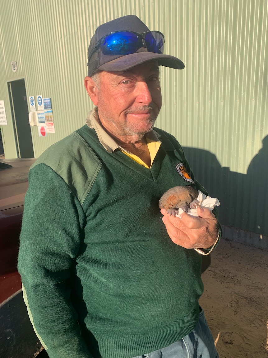 A man with a green jumper and blue hat and sunglasses holds a baby echidna.