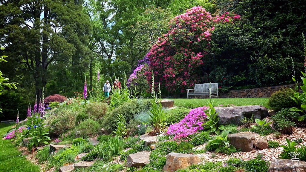 Large garden filled with flowering plants.