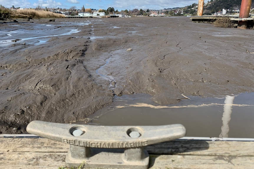 silt build-up in a river