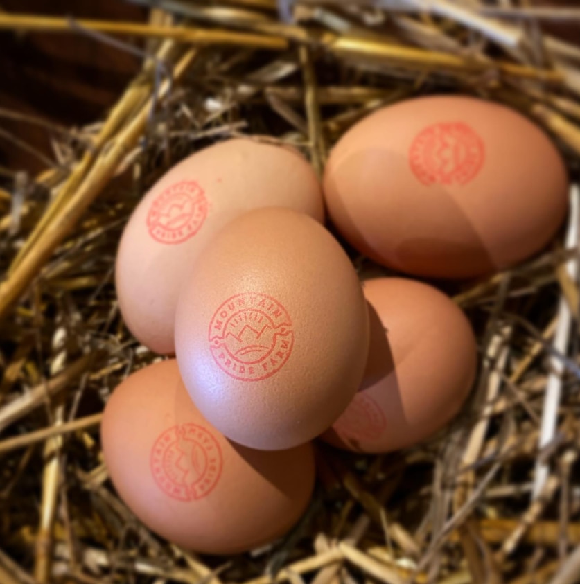 Chickens euthanased in NSW egg farm 'emergency situation'