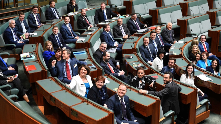 A group of MPs in Parliament