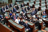 A group of MPs in Parliament