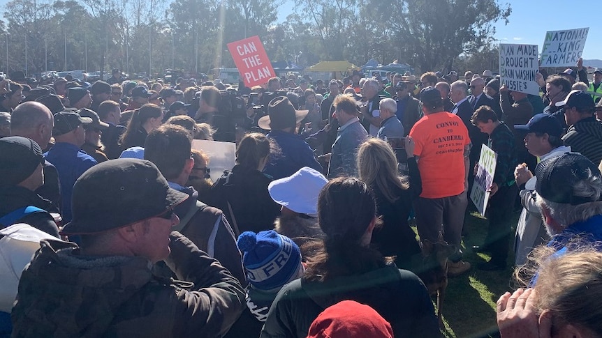 a crowd of protestors holds signs under the morning sun outside parliament house